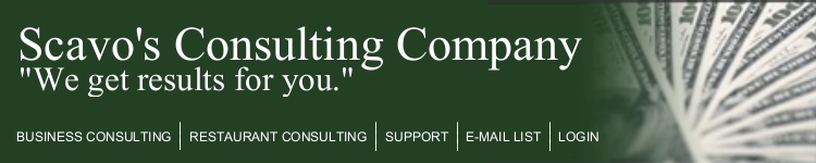 Scavo's Consulting Company: Results in Business